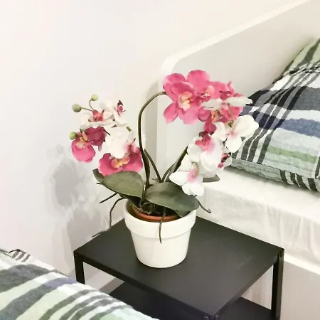 Appartamento Ferienwohnung Und Monteurzimmer Leverkusen